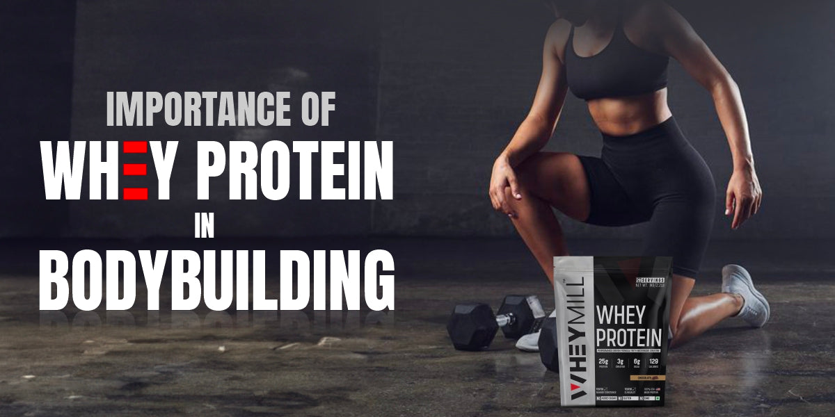 Unlocking the Power of Whey Protein in Elevating Your Bodybuilding Gam