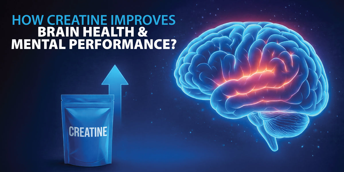 Illustration showing creatine supporting brain health and improving mental performance through enhanced energy metabolism.